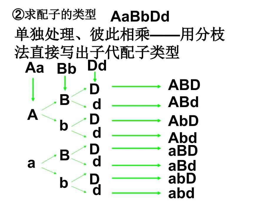 2010高考生物专题复习课件04：自由组合解题技巧_第5页