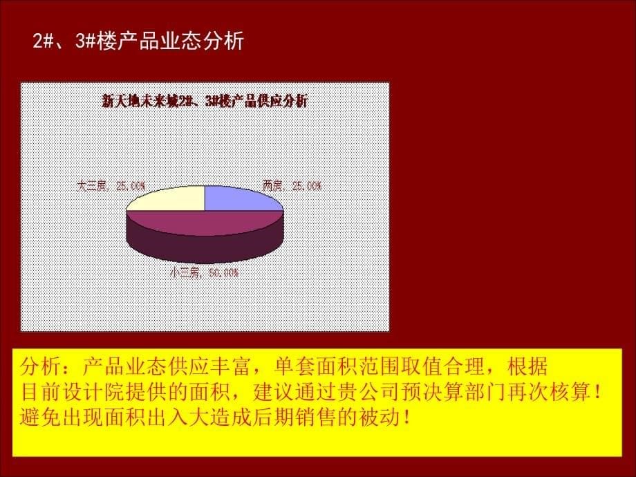 2010新天地.未来城客群分析暨开盘前营销策略案-17p_第5页