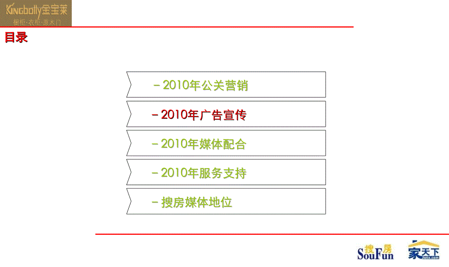 2010年度网络营销案_第3页