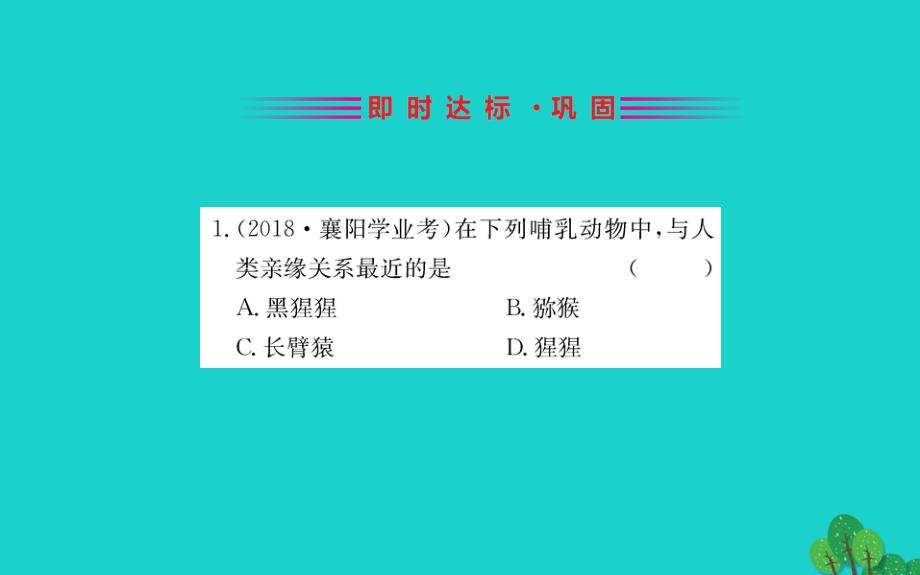 2020年七年级生物下册..人的起源和发展习题课件新版新人教版(1)_第2页