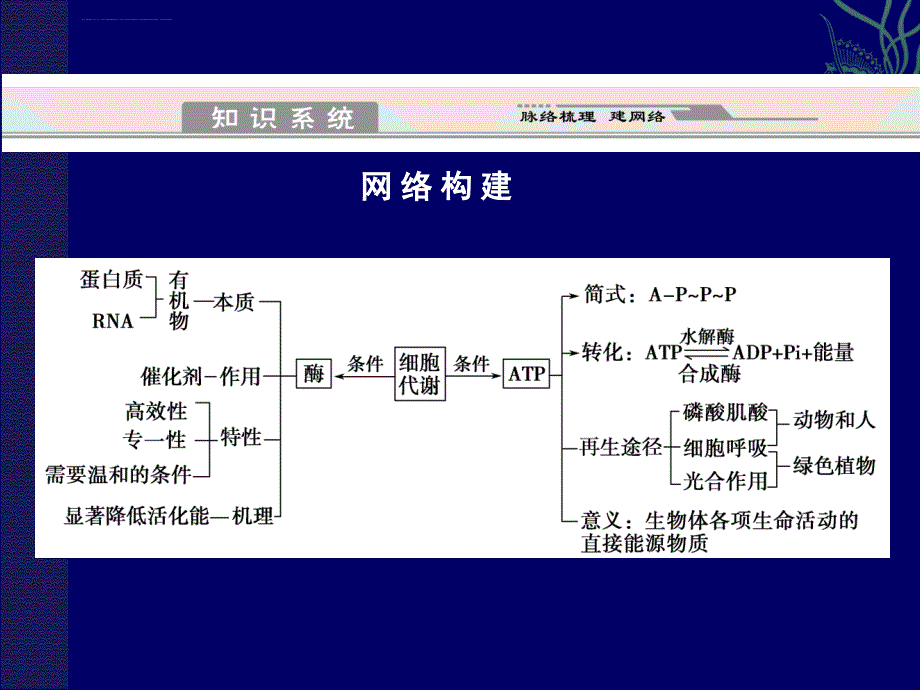 2011高考生物二轮复习突破课件：第1部分专题2第1讲 酶与ATP_第2页