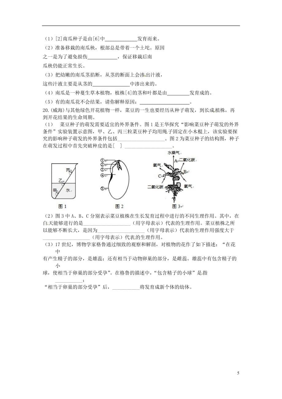 中考生物知识梳理复习检测植物的生长和开花、结果_第5页