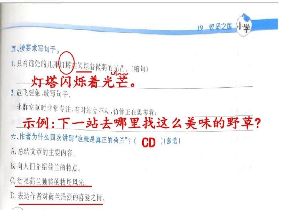 2020年新人教版部编本五年级下册语文第19课《牧场之国》同步解析与测评参考答案课件讲评专用_第5页