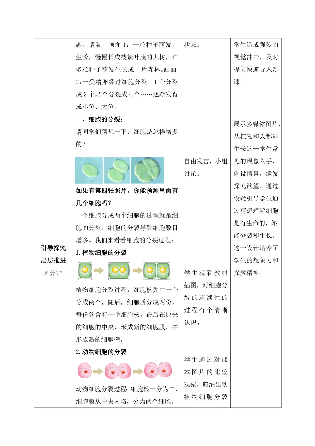 《细胞的分裂与分化》教案.doc_第2页