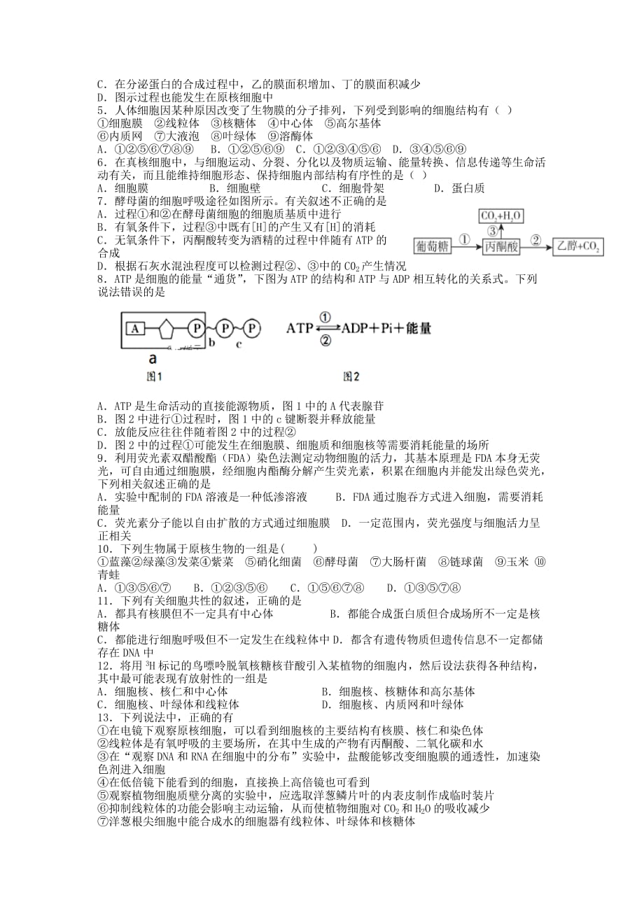 江西省南昌市2019-2020学年高一生物上学期期末考试试题[含答案]_第2页