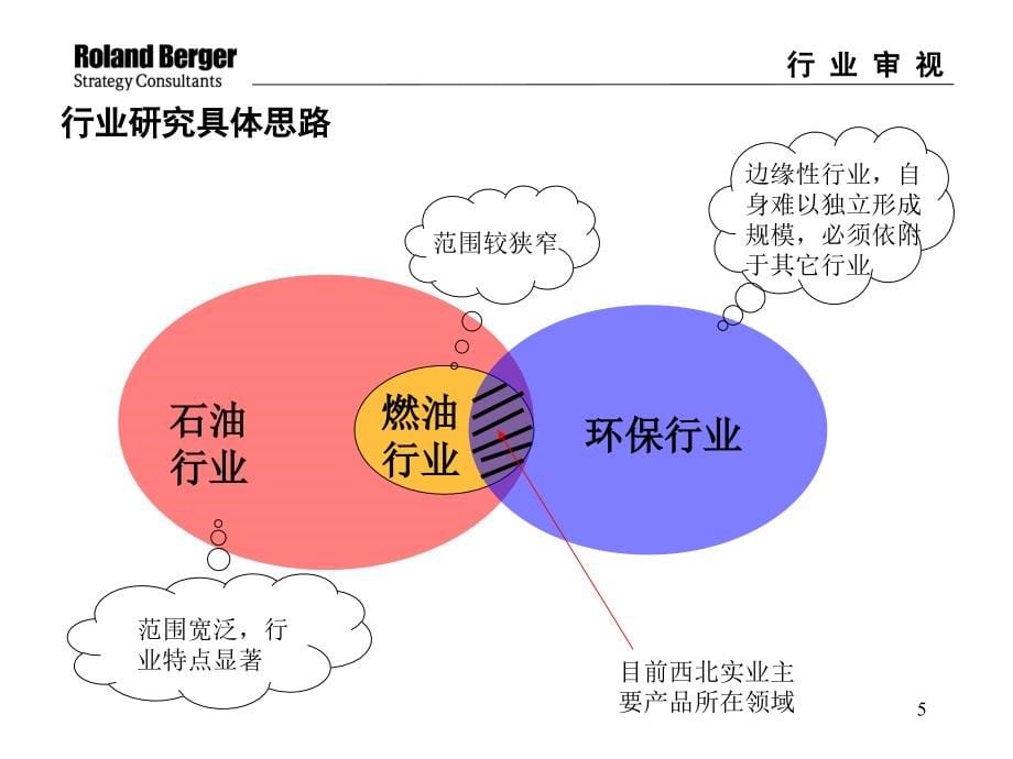 《精编》罗兰贝格-西北新技术实业公司咨询报告_第5页