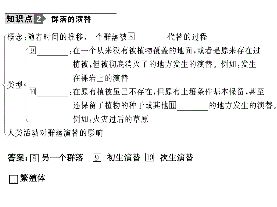 2011高考生物一轮复习课件：必修3 第4章 种群和群落 第3、4节 群落的结构和演替_第4页