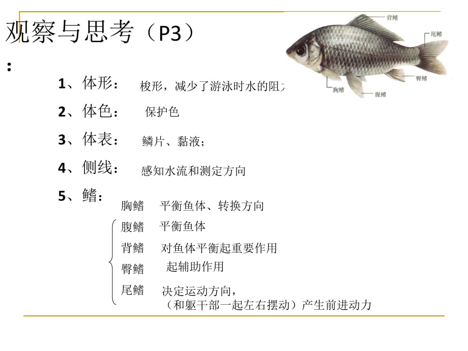 中考生物复习课件：各种环境中的动物_第5页