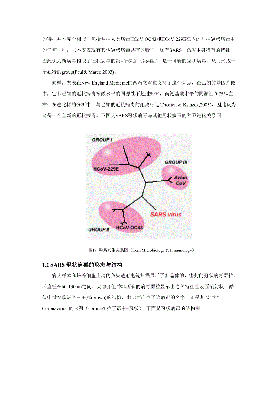 SARS病毒研究概述.doc_第2页