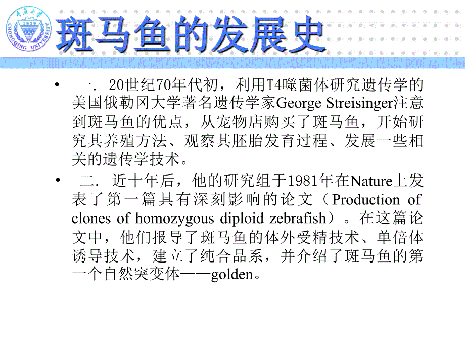 刘永飞--斑马鱼的胚胎发育_第3页