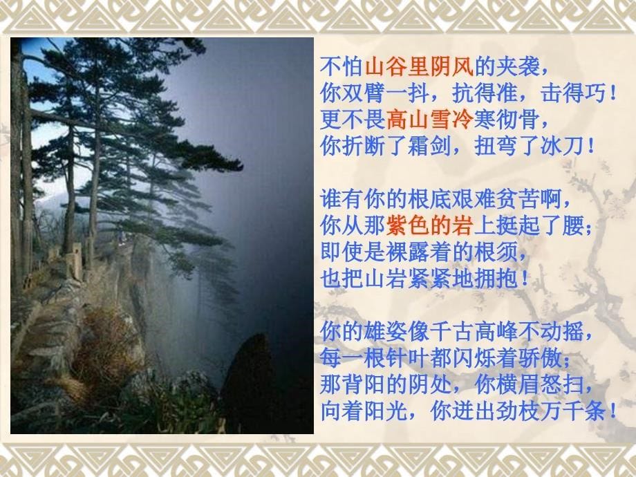 优质课《黄山松》课件_第5页