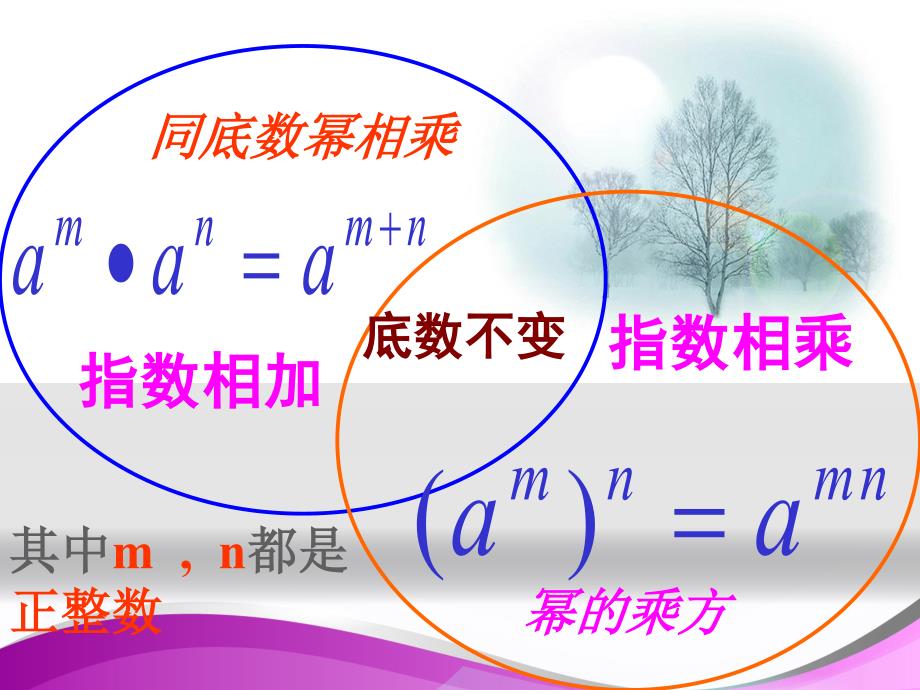 人教版八年级上册第十四章整式的乘法与因式分解--知识点、典型例题复习_第4页