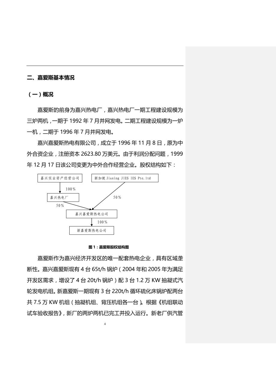 2020斯热电有限公司初步可行性分析报告_第4页