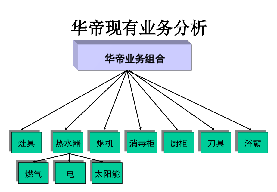 《精编》华帝股份公司战略管理模式分析_第4页