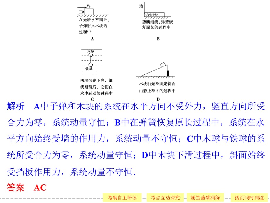 动量守恒定律复习课件4._第3页