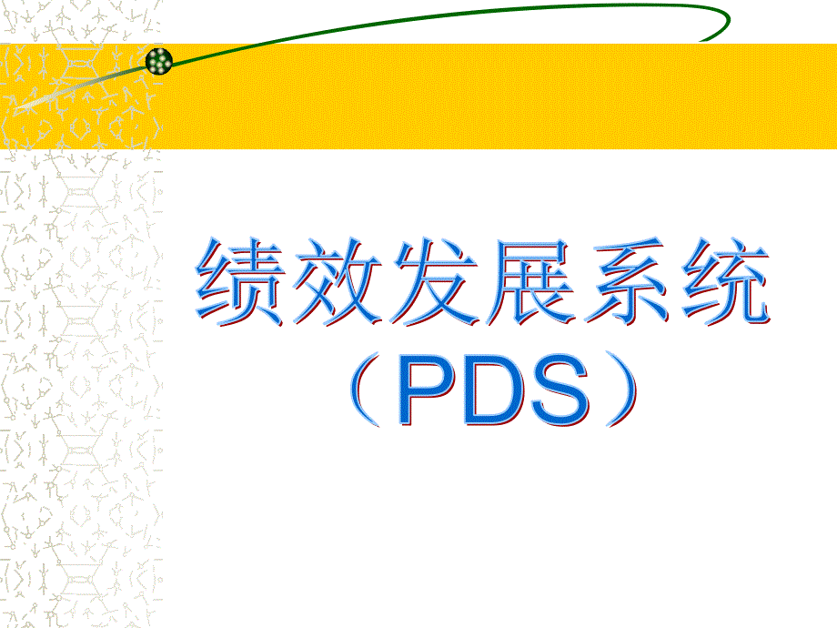 《精编》PDS绩效发展系统指南_第1页