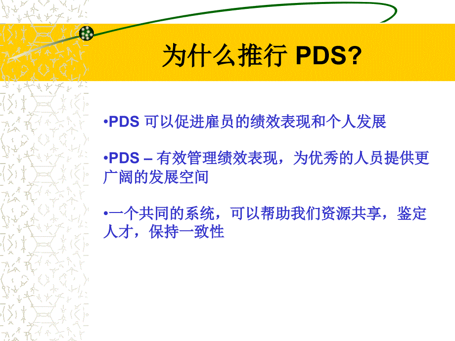 《精编》PDS绩效发展系统指南_第3页
