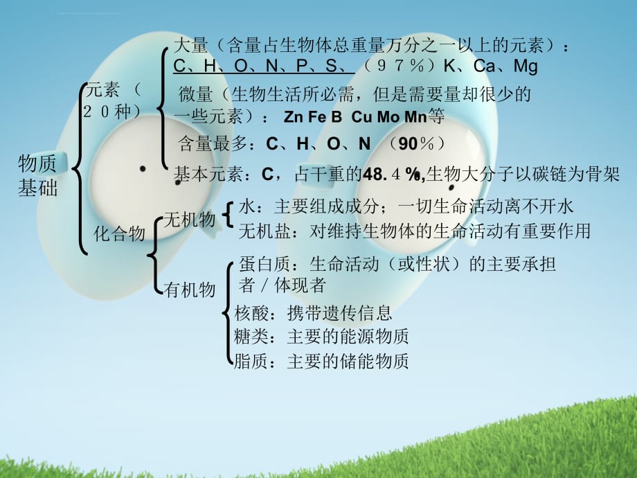 2011届高考生物一轮复习课件：专题二 组成细胞的分子(必修1)_第3页