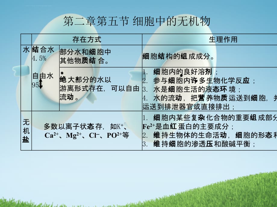 2011届高考生物一轮复习课件：专题二 组成细胞的分子(必修1)_第4页