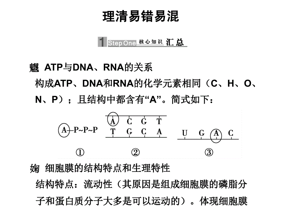 2010届高三生物高考二轮专题复习课件：第三部分理清易错易混新人教版_第1页