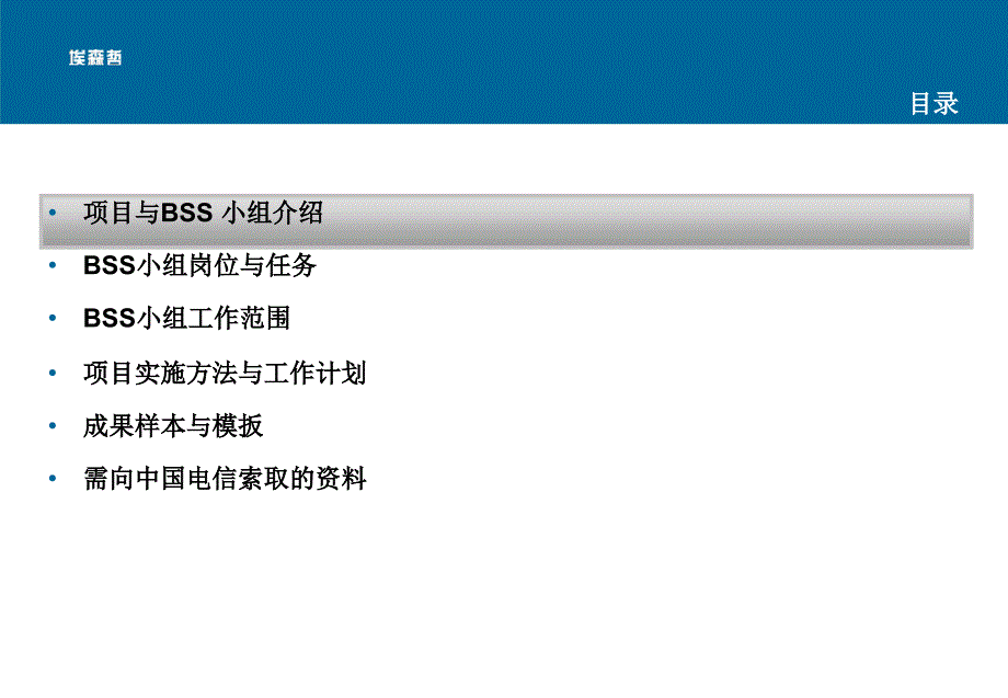 《精编》中国电信市场营销再造项目BSS小组介绍_第2页