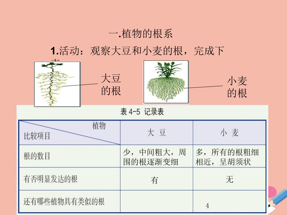 2019_2020学年八年级科学下册第四章植物与土壤第节植物的根与物质吸收教学课件新版浙教版_第4页