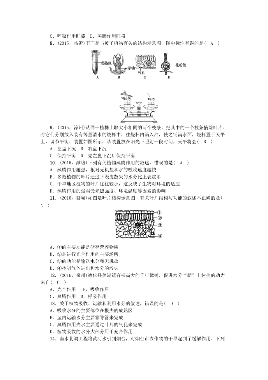 中考生物第一轮系统复习篇第三单元第三章绿色植物与生物圈的水循环_第2页