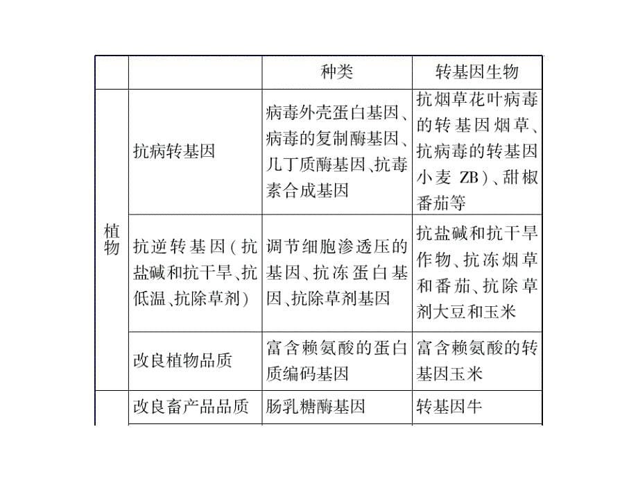 2012届高三生物高考二轮复习课件专题13：现代生物技术_第5页