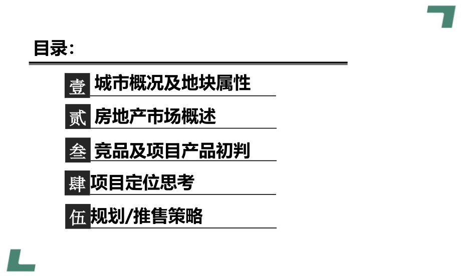 2012山东里城泰安项目定位建议报告68页_第2页