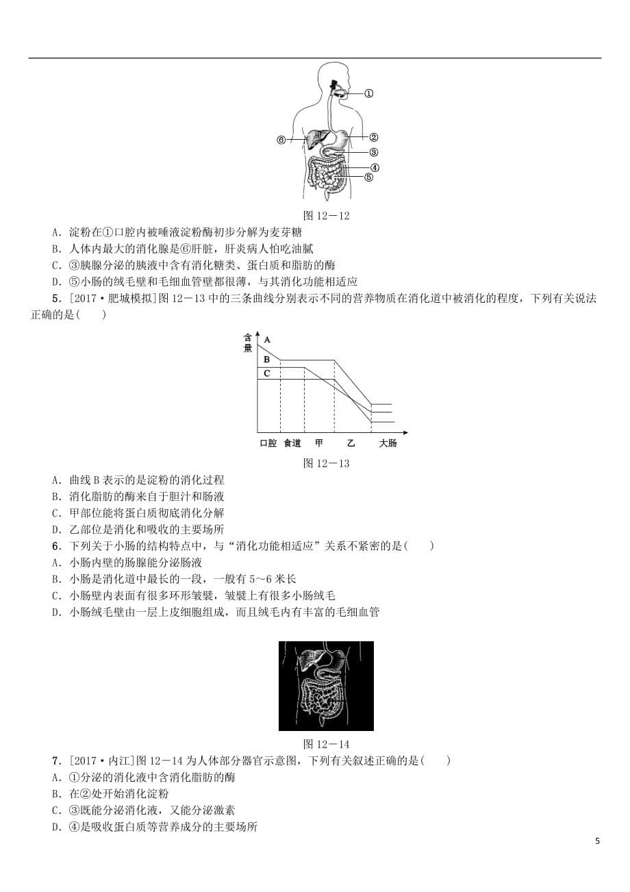 中考生物第四单元生物圈中的人第12课时消化和吸收课时作业_第5页