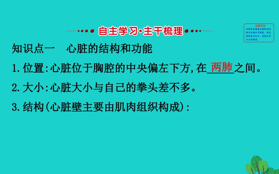 2020年七年级生物下册..输送血液的泵心脏习题课件新版新人教版_第2页