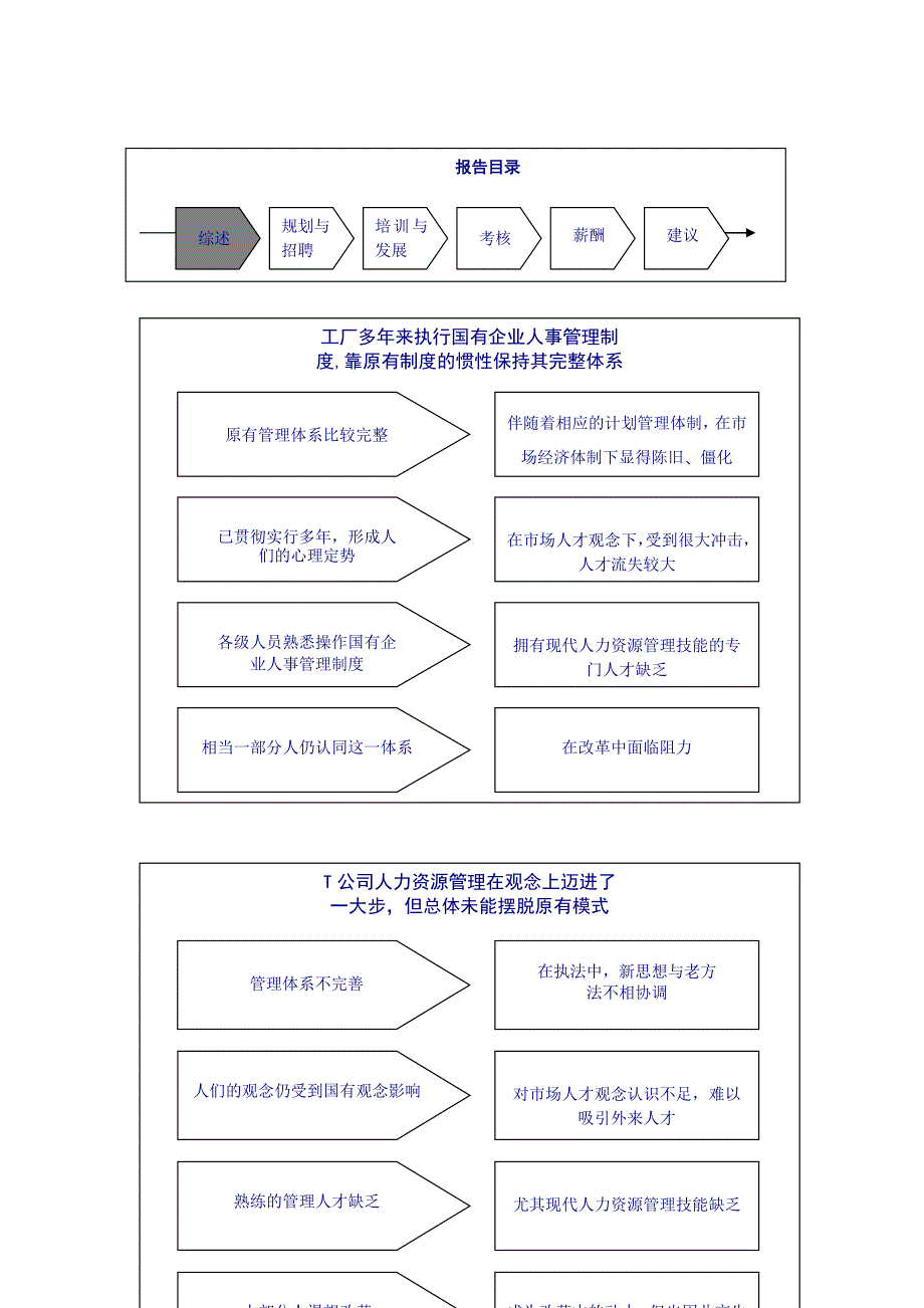 《精编》T公司人力资源管理诊断报告（节选）_第2页