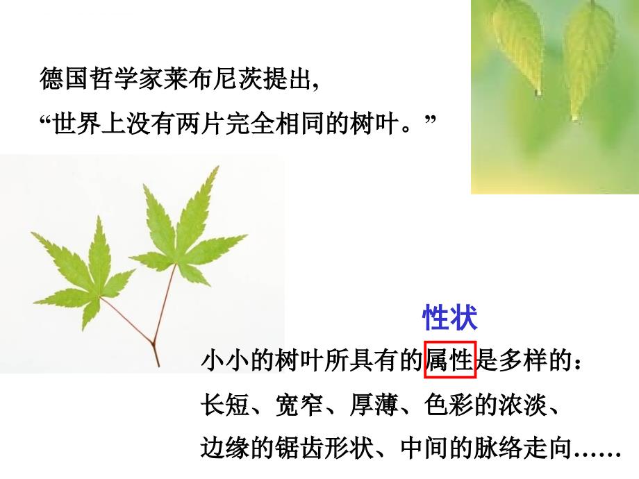 八年级生物下册第七单元第二章第五节生物的变异ppt课件(最新修改)_第3页