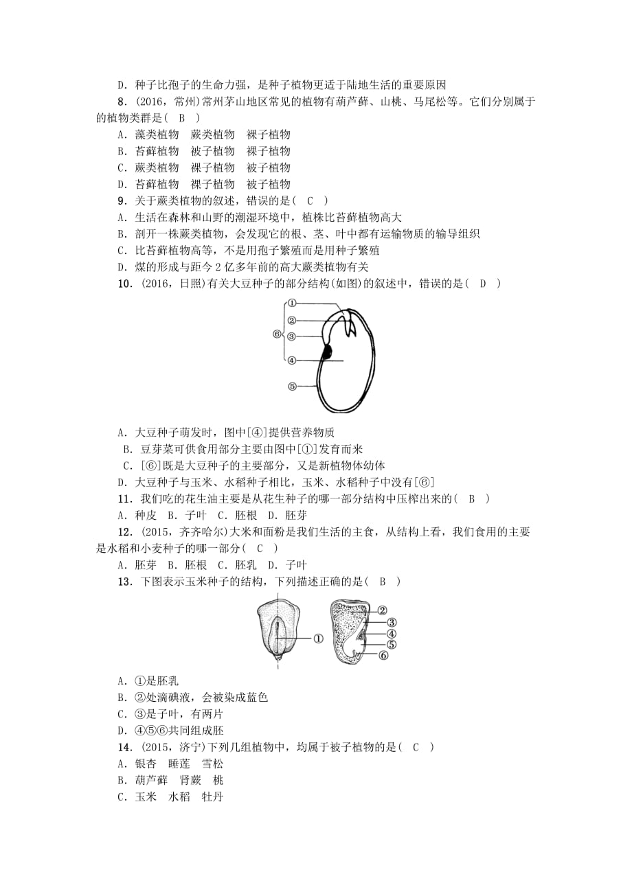 中考生物第一轮系统复习篇第三单元第一章生物圈中有哪些绿色植物_第2页