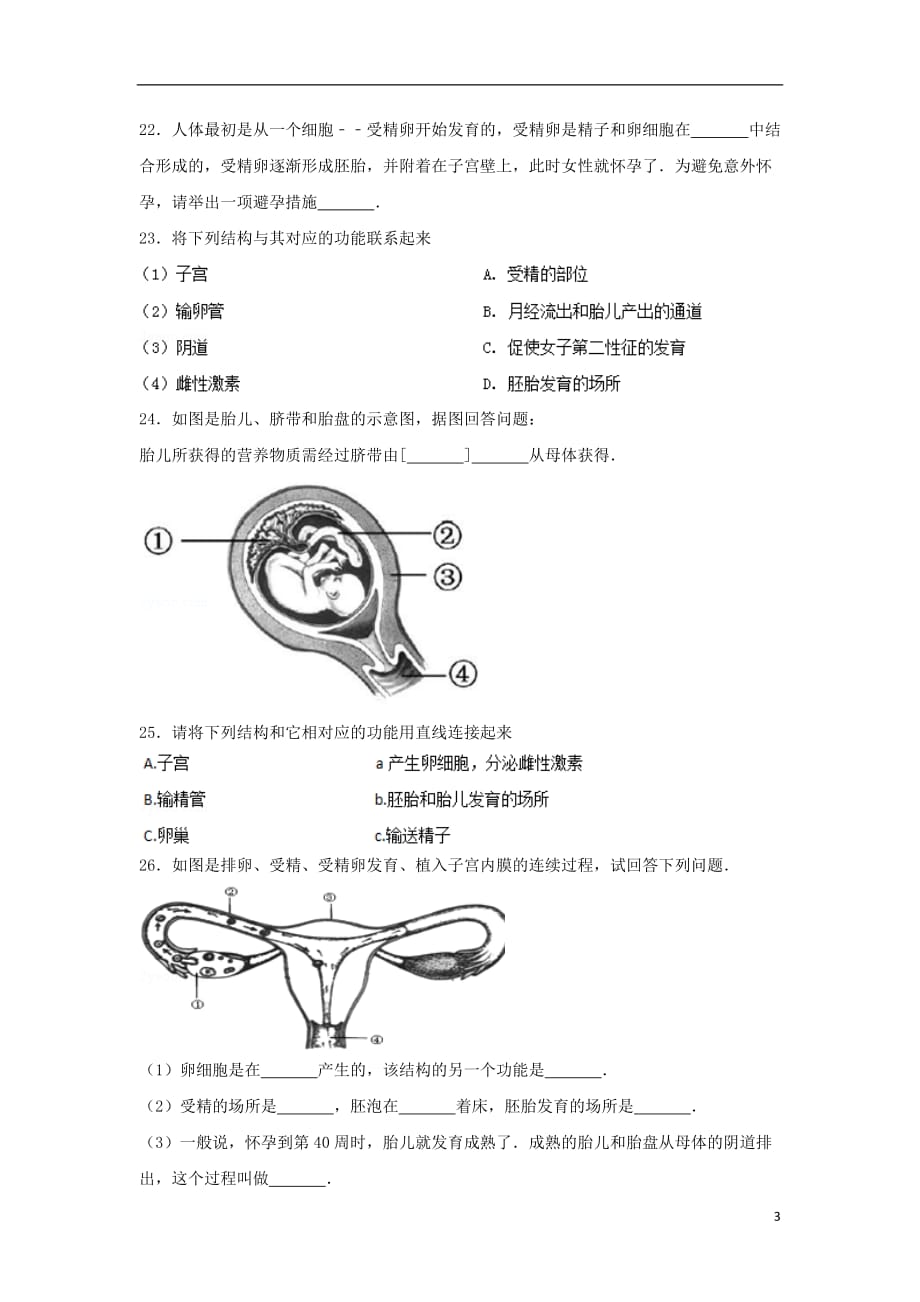 七级生物下册第四单元第一章第二节《人的生殖》基础练习（新）新人教_第3页