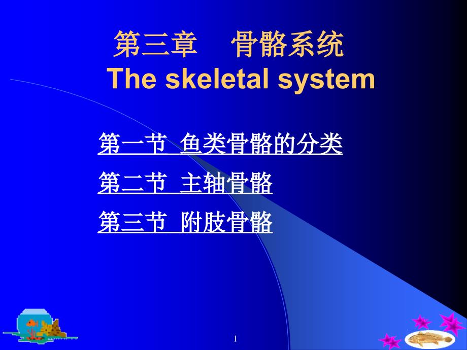 第三章骨骼系统Theskeletalsystem教学幻灯片_第1页