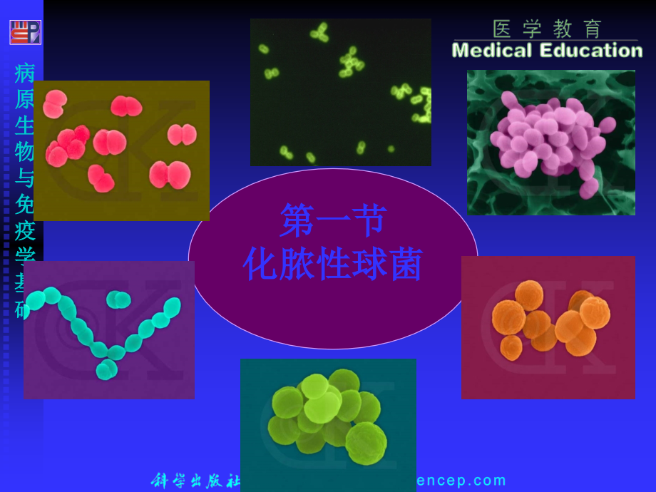 第5章常见病原菌(共111页)_第2页