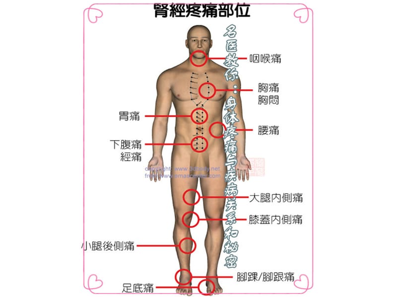 身体疼痛与疾病关系图解讲义资料_第4页