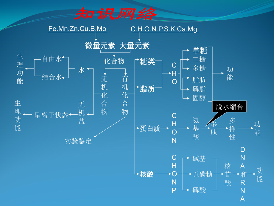 细胞膜 系统的边界 修改好教材课程_第2页