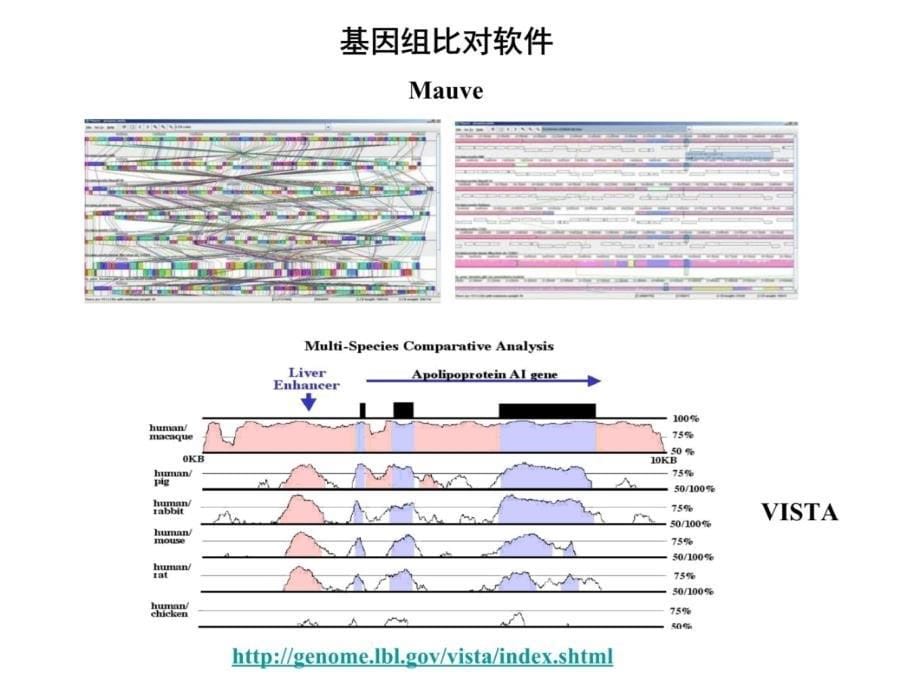 兔肝DNA的提取、二苯胺显色法测...培训教材_第5页