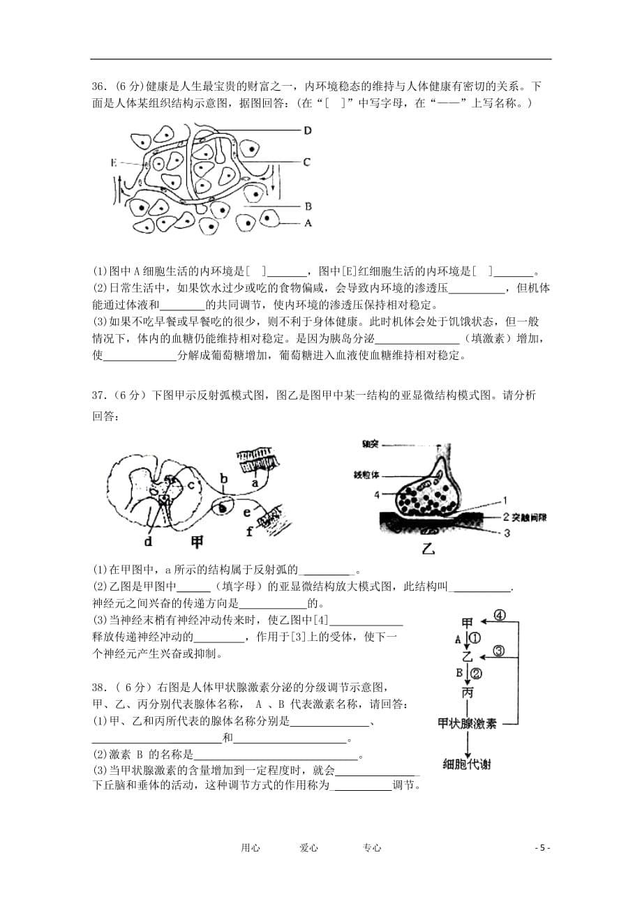 江苏省东台市2011-2012学年高二生物上学期期中考试试题（必修）.doc_第5页