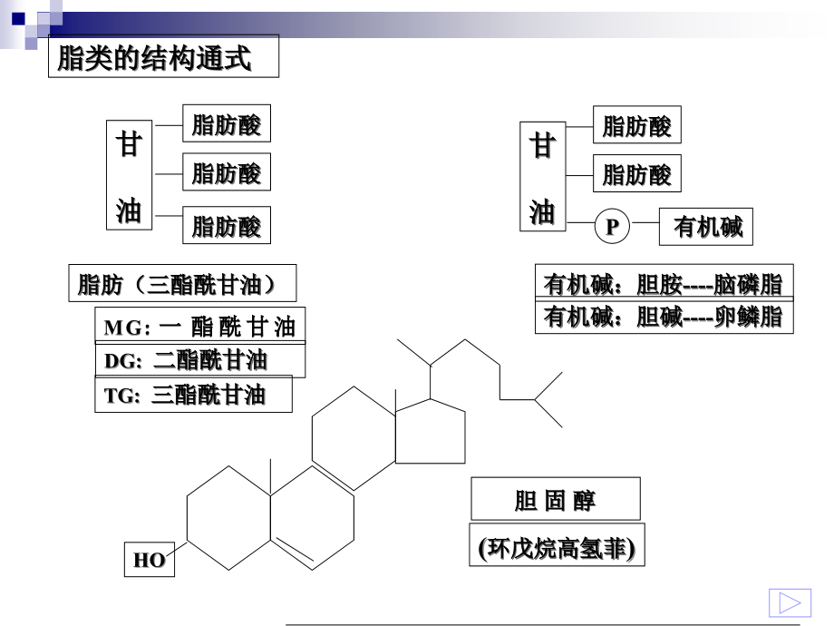 脂质与生物膜教学案例_第3页