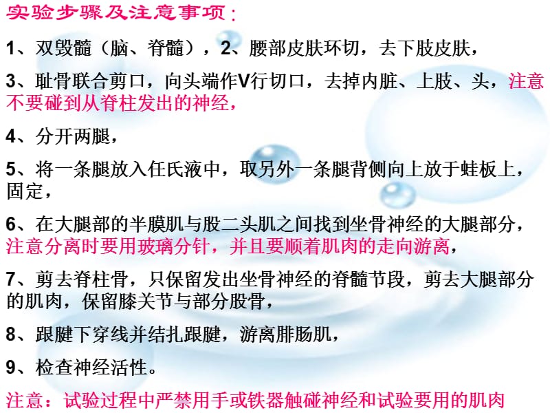 蛙坐骨神经腓肠肌标本的制备培训讲学_第3页