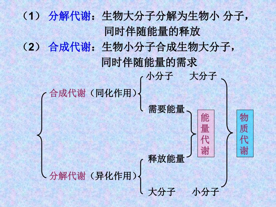 新陈代谢引教学教案_第2页