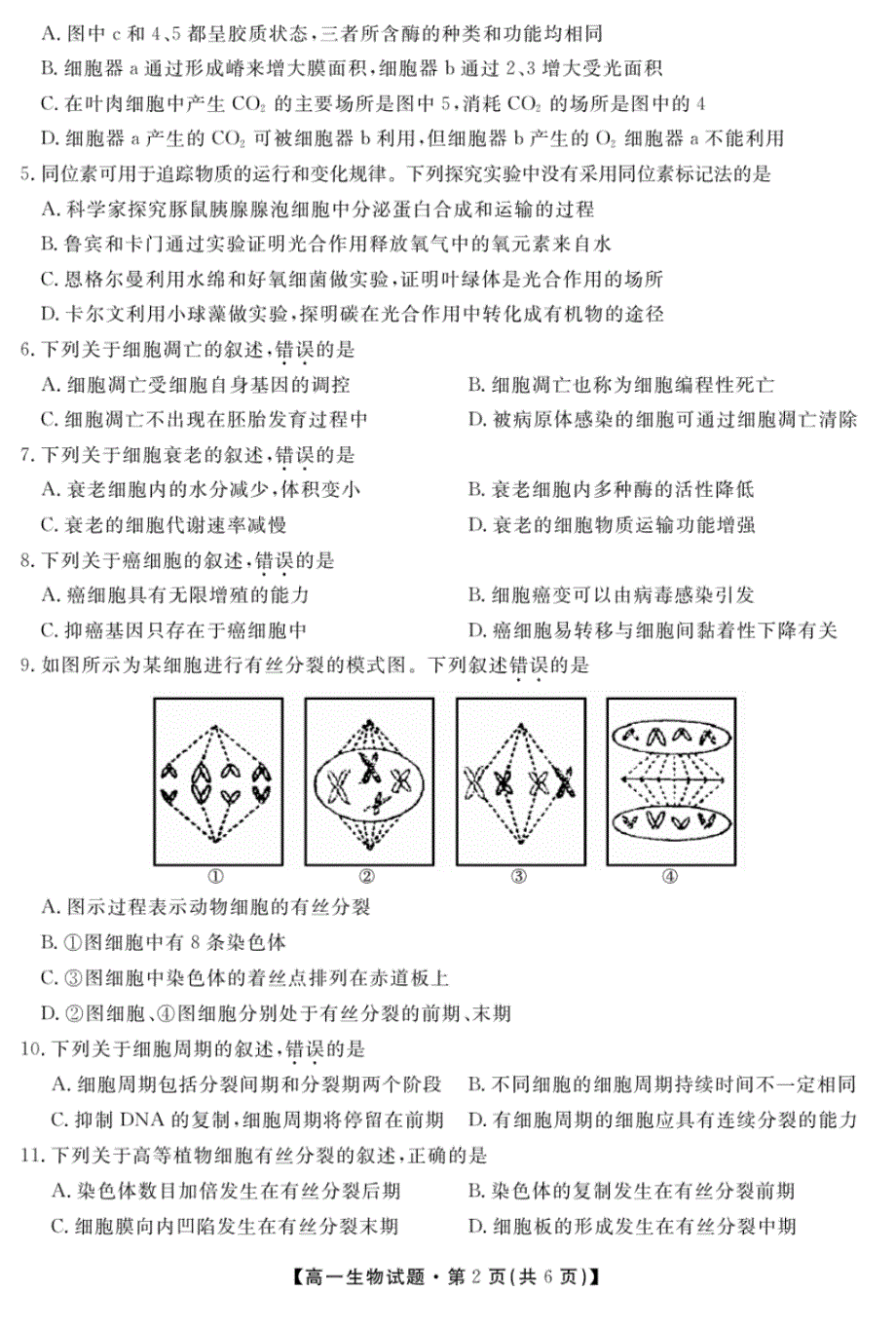 安徽省亳州市涡阳九中2019-2020学年高一下学期第一次月考生物试题(可编辑PDF版含答案)_第2页