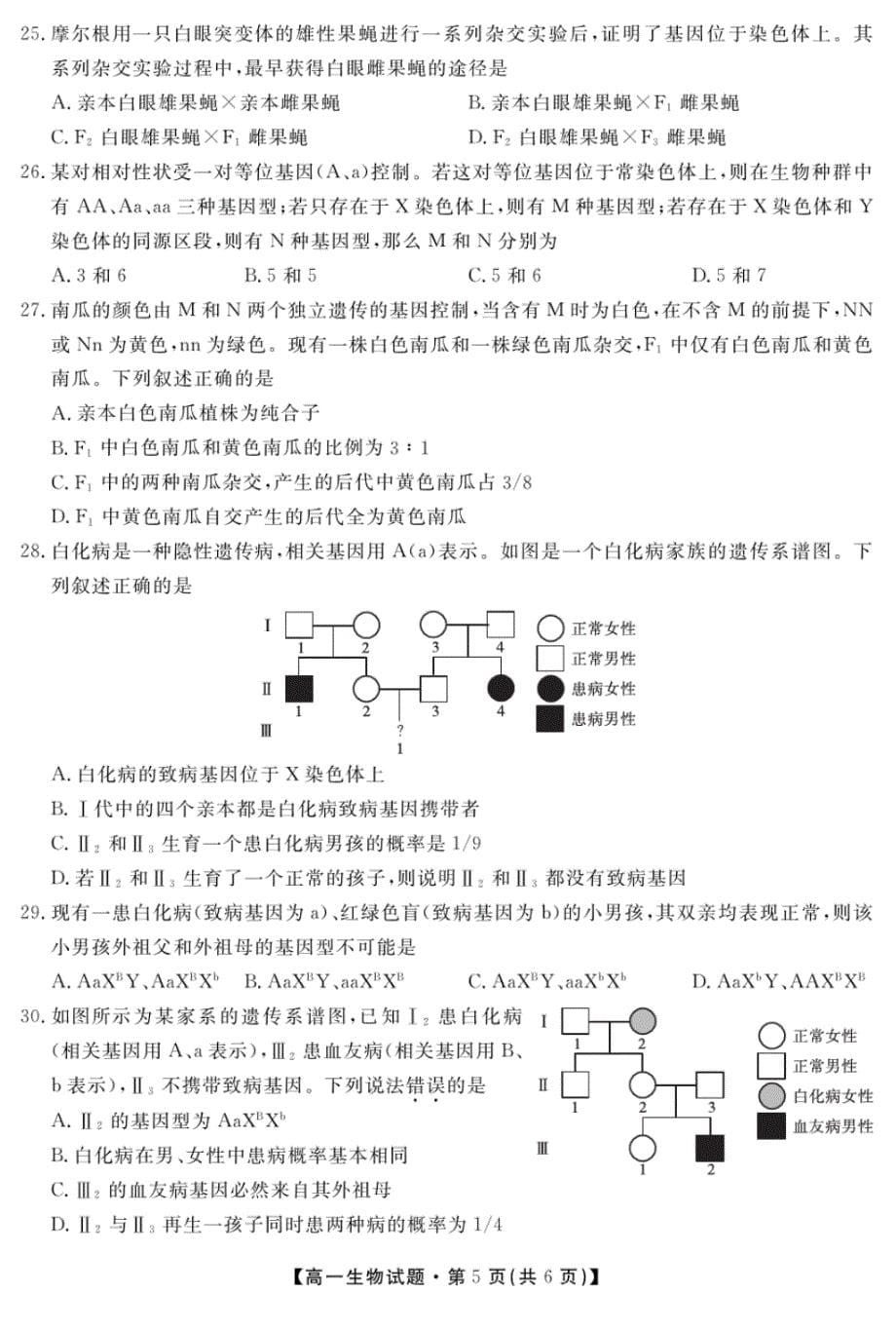 安徽省亳州市涡阳九中2019-2020学年高一下学期第一次月考生物试题(可编辑PDF版含答案)_第5页