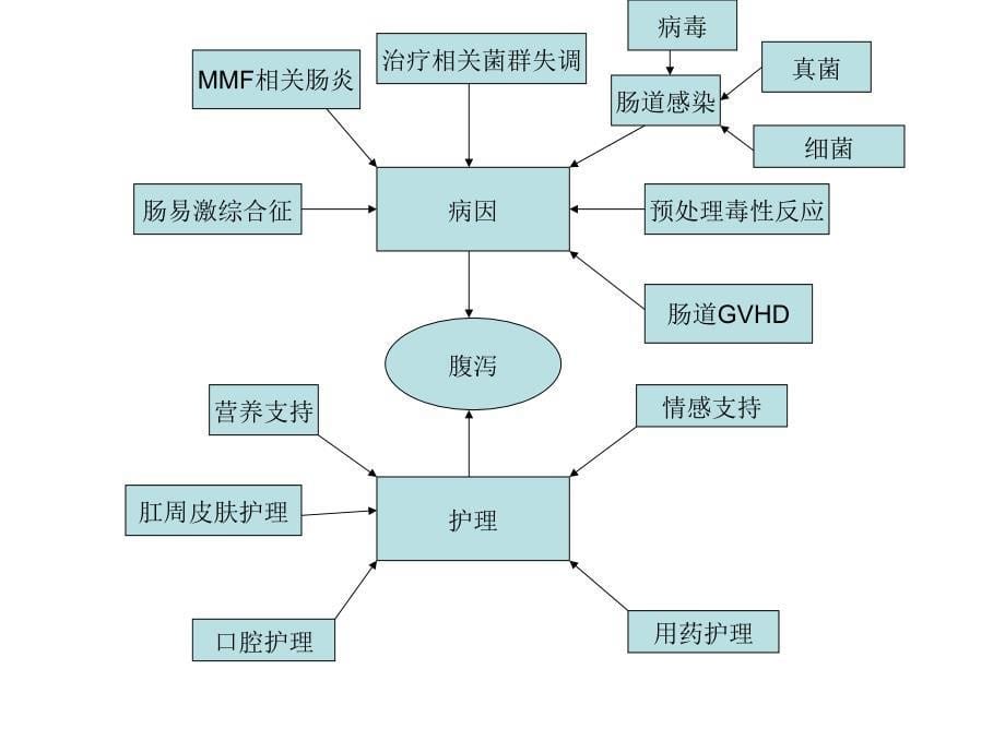 一例异基因造血干细胞移植术后肠道aGVHD护理的概念图分析2011_第5页