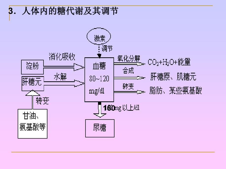 高三生物二轮专题复习培训讲学_第4页