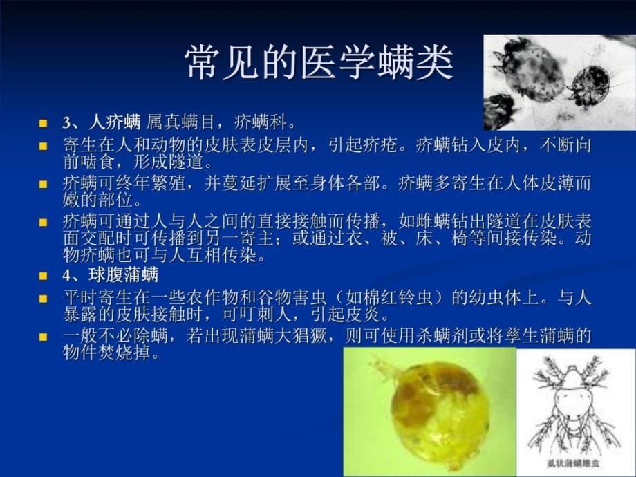 螨的生物特及防治资料讲解_第5页