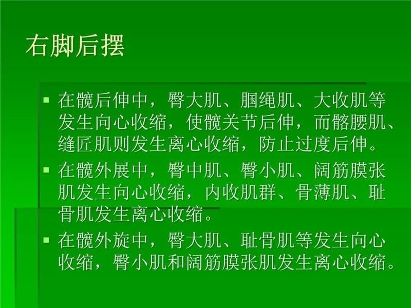 踢足球时肌肉的离向心收缩资料讲解_第5页